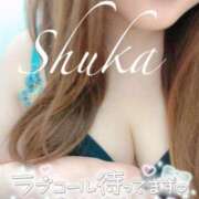 ヒメ日記 2025/05/24 14:55 投稿 しゅうか 西船人妻花壇