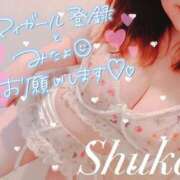 ヒメ日記 2025/05/25 08:30 投稿 しゅうか 西船人妻花壇