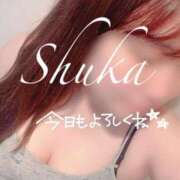 ヒメ日記 2025/06/06 07:45 投稿 しゅうか 西船人妻花壇