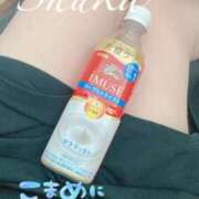 ヒメ日記 2025/06/17 16:51 投稿 しゅうか 西船人妻花壇