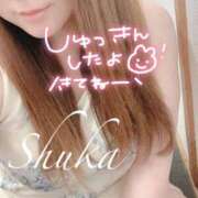 ヒメ日記 2025/06/19 12:00 投稿 しゅうか 西船人妻花壇