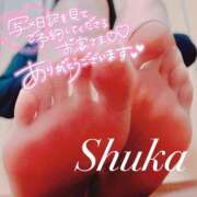 ヒメ日記 2025/06/21 14:06 投稿 しゅうか 西船人妻花壇