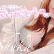 ヒメ日記 2025/06/25 14:42 投稿 しゅうか 西船人妻花壇