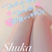 ヒメ日記 2025/06/28 08:33 投稿 しゅうか 西船人妻花壇