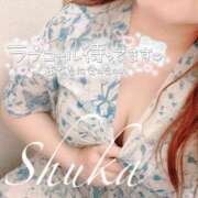 ヒメ日記 2025/06/28 17:43 投稿 しゅうか 西船人妻花壇