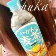 ヒメ日記 2025/06/30 12:30 投稿 しゅうか 西船人妻花壇