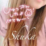 ヒメ日記 2025/07/07 12:14 投稿 しゅうか 西船人妻花壇