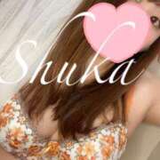 ヒメ日記 2025/07/07 15:34 投稿 しゅうか 西船人妻花壇