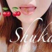 ヒメ日記 2025/07/08 10:05 投稿 しゅうか 西船人妻花壇