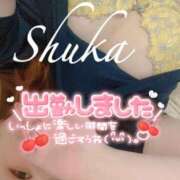 ヒメ日記 2025/07/12 15:08 投稿 しゅうか 西船人妻花壇