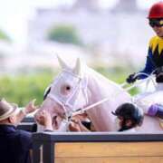 ヒメ日記 2025/07/13 15:50 投稿 しゅうか 西船人妻花壇