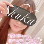 ヒメ日記 2025/07/14 07:48 投稿 しゅうか 西船人妻花壇