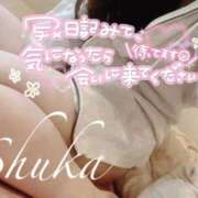 ヒメ日記 2025/07/16 07:35 投稿 しゅうか 西船人妻花壇