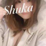 ヒメ日記 2025/07/17 23:28 投稿 しゅうか 西船人妻花壇