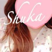 ヒメ日記 2025/08/06 12:34 投稿 しゅうか 西船人妻花壇