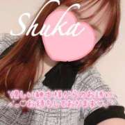 ヒメ日記 2025/08/11 10:06 投稿 しゅうか 西船人妻花壇