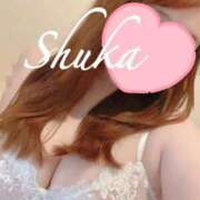 ヒメ日記 2025/08/11 23:07 投稿 しゅうか 西船人妻花壇