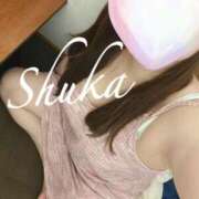 ヒメ日記 2025/10/07 12:22 投稿 しゅうか 西船人妻花壇