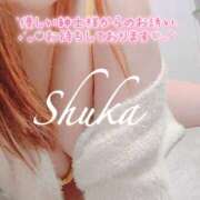 ヒメ日記 2025/10/08 10:25 投稿 しゅうか 西船人妻花壇