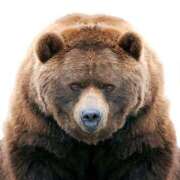 ヒメ日記 2025/10/14 09:19 投稿 しゅうか 西船人妻花壇