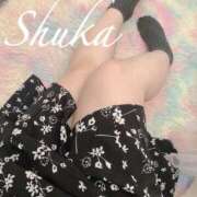 ヒメ日記 2025/10/17 10:50 投稿 しゅうか 西船人妻花壇