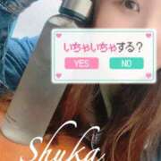 ヒメ日記 2025/10/19 22:23 投稿 しゅうか 西船人妻花壇