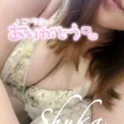 ヒメ日記 2025/10/20 20:13 投稿 しゅうか 西船人妻花壇