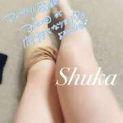 ヒメ日記 2025/10/21 13:10 投稿 しゅうか 西船人妻花壇