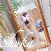 ヒメ日記 2025/10/23 10:16 投稿 しゅうか 西船人妻花壇