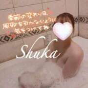 ヒメ日記 2025/10/24 23:48 投稿 しゅうか 西船人妻花壇