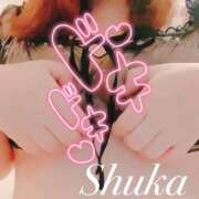 ヒメ日記 2025/10/25 16:02 投稿 しゅうか 西船人妻花壇