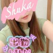 ヒメ日記 2025/10/27 12:21 投稿 しゅうか 西船人妻花壇