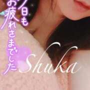 ヒメ日記 2025/10/28 00:54 投稿 しゅうか 西船人妻花壇