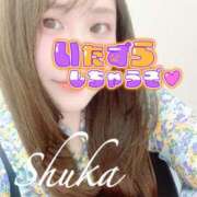 ヒメ日記 2025/10/31 17:20 投稿 しゅうか 西船人妻花壇