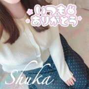 ヒメ日記 2025/11/01 15:33 投稿 しゅうか 西船人妻花壇