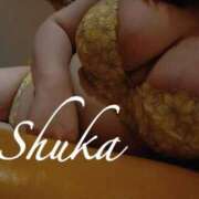 ヒメ日記 2025/11/03 17:10 投稿 しゅうか 西船人妻花壇