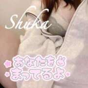 ヒメ日記 2025/11/06 09:18 投稿 しゅうか 西船人妻花壇