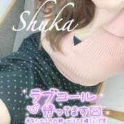 ヒメ日記 2025/11/06 13:03 投稿 しゅうか 西船人妻花壇