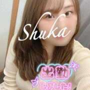 ヒメ日記 2025/11/07 12:19 投稿 しゅうか 西船人妻花壇