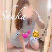 ヒメ日記 2025/11/07 20:20 投稿 しゅうか 西船人妻花壇