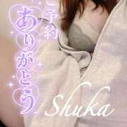 ヒメ日記 2025/11/09 17:55 投稿 しゅうか 西船人妻花壇