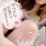 ヒメ日記 2025/11/10 13:15 投稿 しゅうか 西船人妻花壇