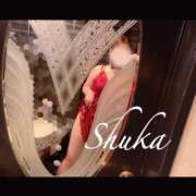 ヒメ日記 2025/11/11 09:17 投稿 しゅうか 西船人妻花壇