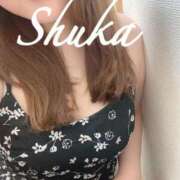 ヒメ日記 2025/11/17 14:02 投稿 しゅうか 西船人妻花壇