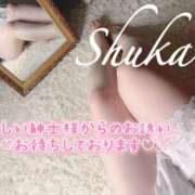 ヒメ日記 2025/11/17 17:07 投稿 しゅうか 西船人妻花壇