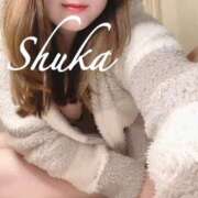 ヒメ日記 2025/11/18 09:51 投稿 しゅうか 西船人妻花壇