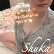 ヒメ日記 2025/11/19 07:32 投稿 しゅうか 西船人妻花壇