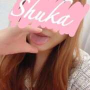 ヒメ日記 2025/11/22 22:44 投稿 しゅうか 西船人妻花壇