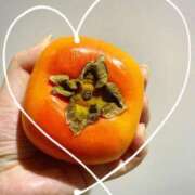 ヒメ日記 2025/11/24 09:39 投稿 しゅうか 西船人妻花壇