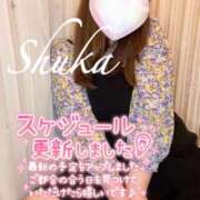 ヒメ日記 2025/11/24 17:17 投稿 しゅうか 西船人妻花壇